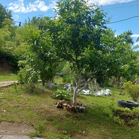 Mero House Kutaisi Ngoại thất bức ảnh