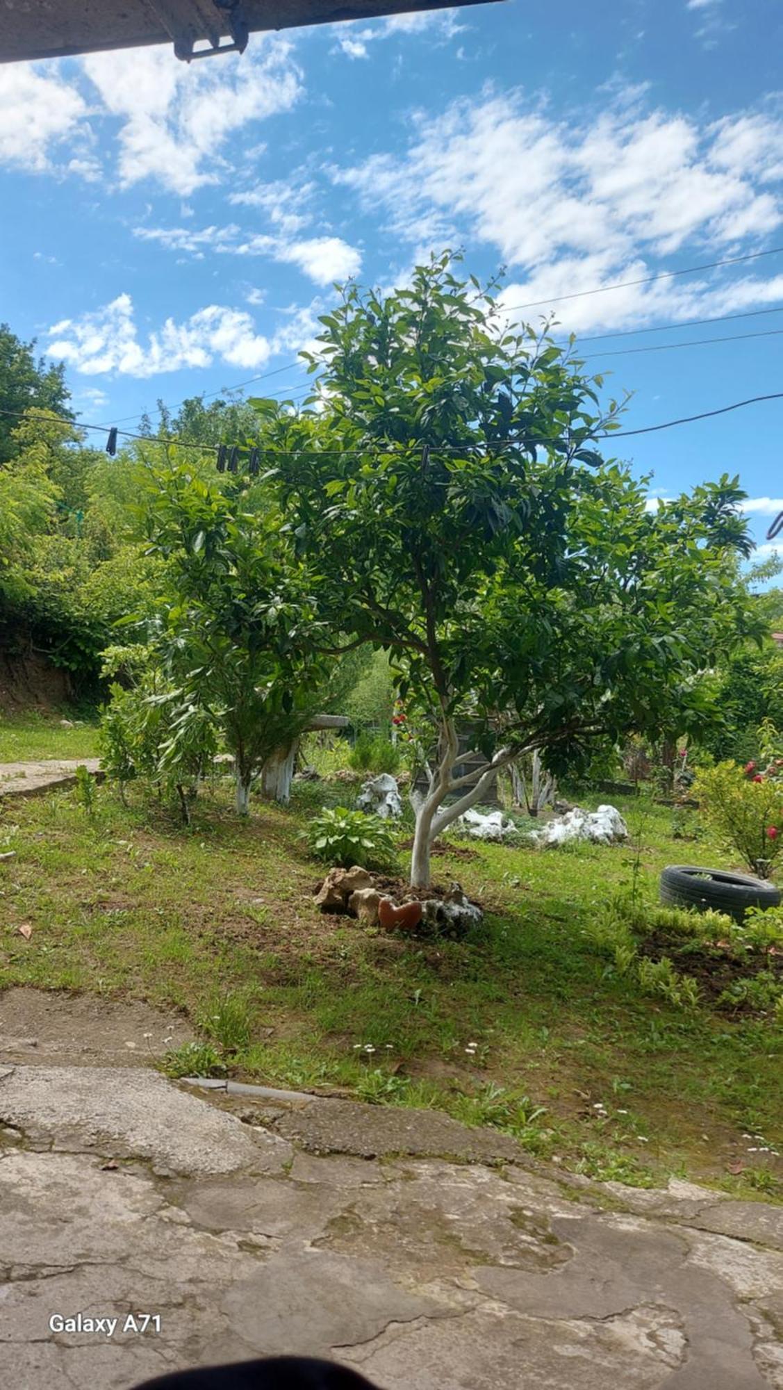 Mero House Kutaisi Ngoại thất bức ảnh